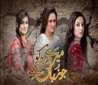 Anam TanveerMeray Dard Ko Jo Zuban Miley (TV Serial)