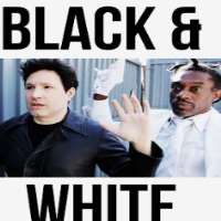 Filip SerticBlack & White World as Darko Rundek (TV Series 2015)