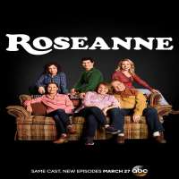 Sandra BernhardStand-up Comedy, TV Series 