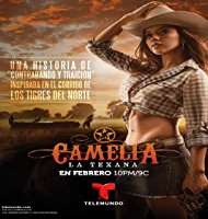 Carlos Hernan RomoTV Series 