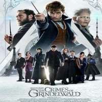 William NadylamParlement (2020), Fantastic Beasts: The Crimes of Grindelwald (2018) as Yusuf Kama, White Material (2009)