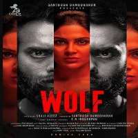 Senan JenningsThe Secret Box (2019), Wolf (2021), Brute (2019)