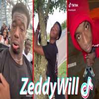ZeddywillTikTok (Account: zeddywill)