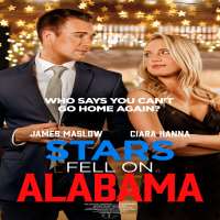 Lesa WilsonFilm 