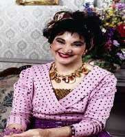Robin BartlettThe Powers That Be as Sophie Lipkin (TV series 1992)