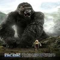 Lobo ChanFilm 