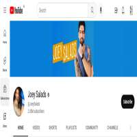 JoeySaladsYouTube (Channel: Joey Salads)