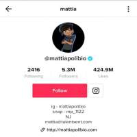 Mattia PolibioTikTok Account 