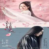Leng HaimingTV Series 