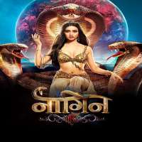 Raghuveer AhlawatNaagin (2022 TV series)