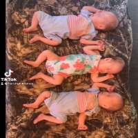 Cannan HollinsTikTok Account 