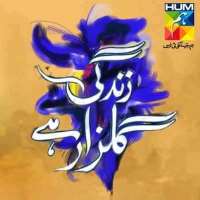 Hina Khawaja BayatTV Series 