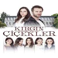 Ozgur CevikTV Series 