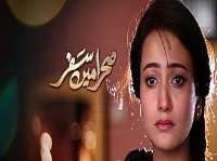 Shehryar ZaidiTV Series 