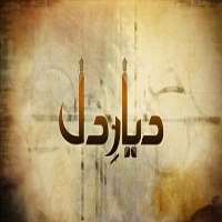 Ali Rehman KhanTV Series 