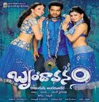 Krishna ChaitanyaBrindavanam (Movie)