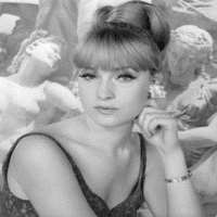 Samuel Fuller wife Christa Lang Samuel Fuller wife Christa Lang