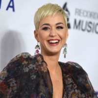 David Hudson (Singer) sister Katy Perry