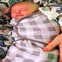 Paul Walter Hauser son Harris Hauser