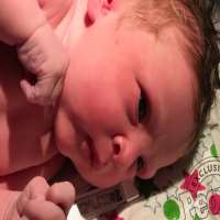 Kiele Sanchez son Zeppelin Adele Gilford