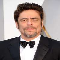 Alicia Silverstone boyfriend Benicio Del Toro Alicia Silverstone boyfriend Benicio Del Toro
