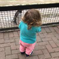 Josie Long daughter Ava Josie Long daughter Ava