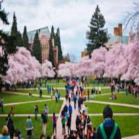 Jean Smart University of Washington