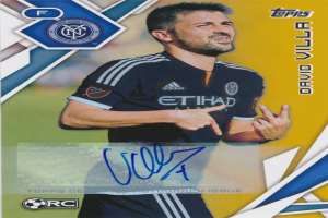 David Villa Signature
