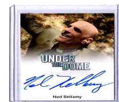 Ned Bellamy Signature