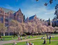Joel McHale University of Washington