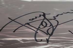 Dana DeLorenzo Signature