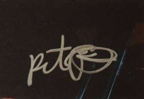 Pete Yorn Signature