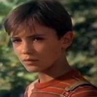 Wil Wheaton Birthday, Real Name, Age, Weight, Height, Family, Facts ...