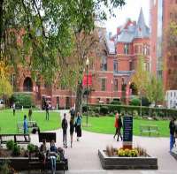 Hong Chau Boston University, Boston, Massachusetts