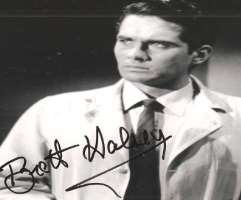 Brett Halsey Signature