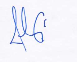 Josh Gorges Signature