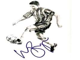 Wayne Bridge Signature