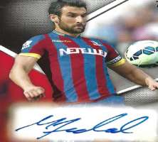 Mile Jedinak Signature