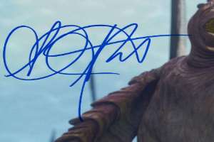 Ahmed Best Signature