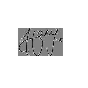 Harry Styles Signature