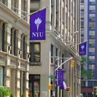 Reginald VelJohnson New York University
