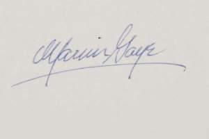 Marvin Gaye Signature