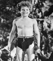 Johnny Sheffield Childhood Image