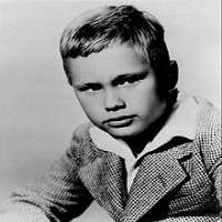 Brandon deWilde Childhood Image