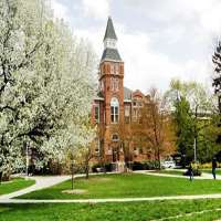 Paul Stookey Michigan State University