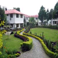 Rushali Rai Pastle Weed College, Dehradun