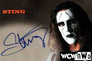 Sting (wrestler) Signature