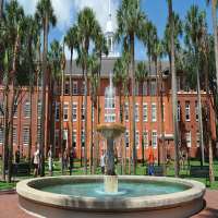 Roderick Strong University of South Florida