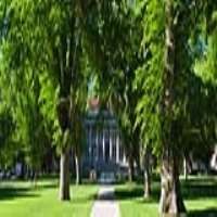 Jesse Luken Colorado State University