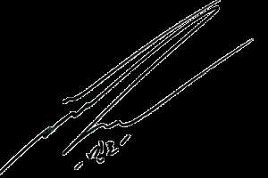 Choi Min-ho Signature